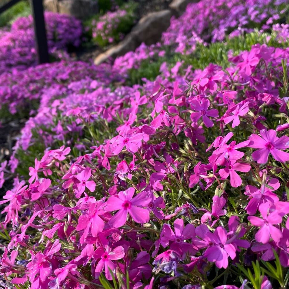 Greetings, from Mel 🖖🏽